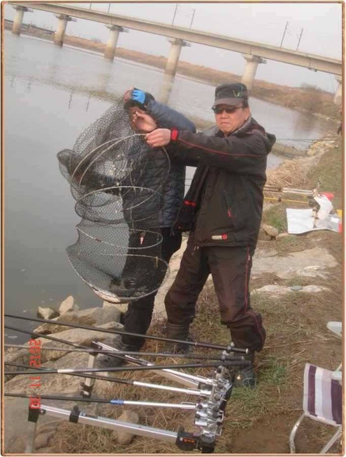 진위천 조황소식 (조황조행기 - 특파원조황)