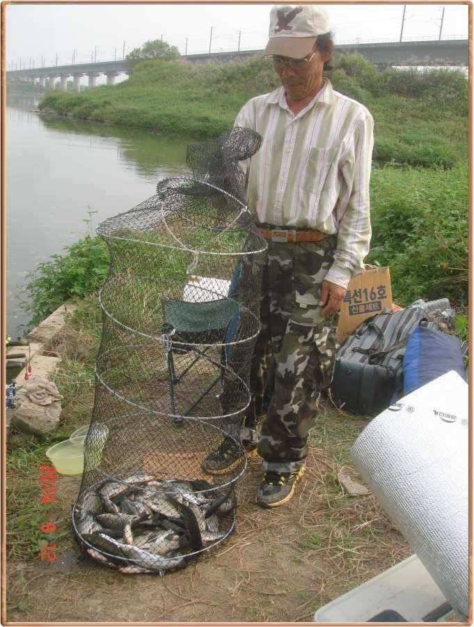 진위천 조황 소식 (조황조행기 - 특파원조황)