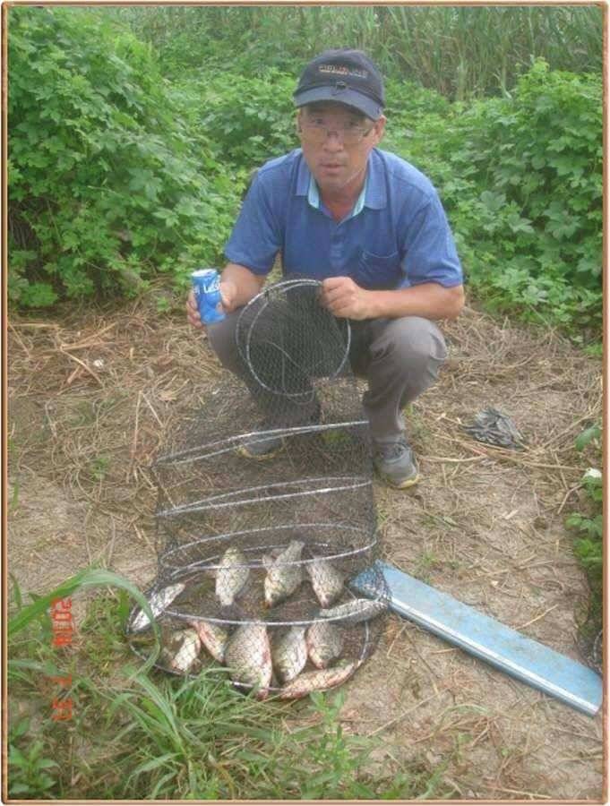 진위천 조황 소식 (조황조행기 - 특파원조황)