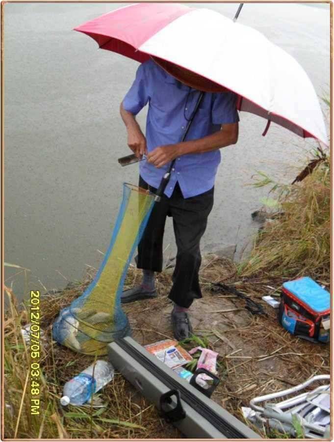 진위천 대박행진 입니다 (조황조행기 - 특파원조황)