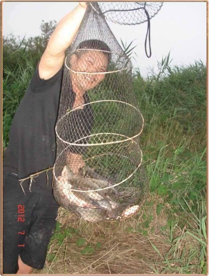 진위천 조황 좋네요 (조황조행기 - 특파원조황)