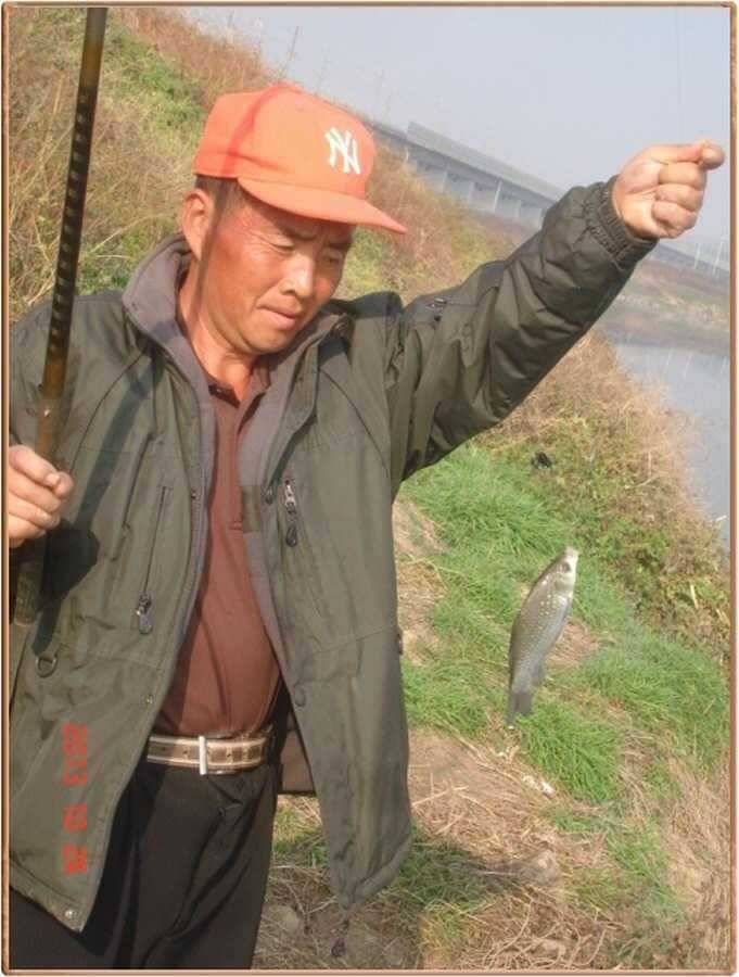 진위천 조황 소식 (조황조행기 - 특파원조황)
