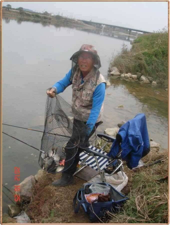 진위천 조황소식 (조황조행기 - 특파원조황)