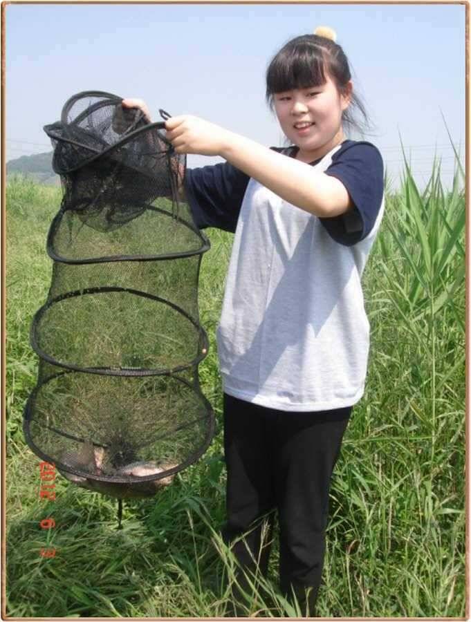 진위천 조황소식 (조황조행기 - 특파원조황)