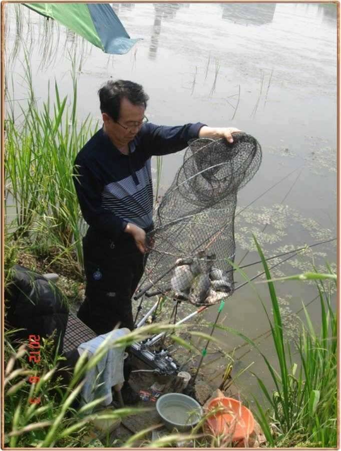 진위천 조황소식 (조황조행기 - 특파원조황)