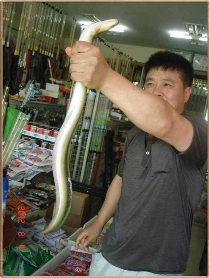 진위천 조황소식 (조황조행기 - 특파원조황)