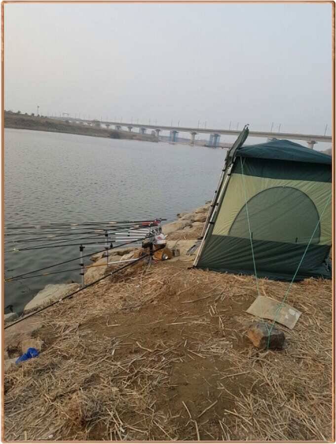 진위천 조황 소식 (조황조행기 - 특파원조황)