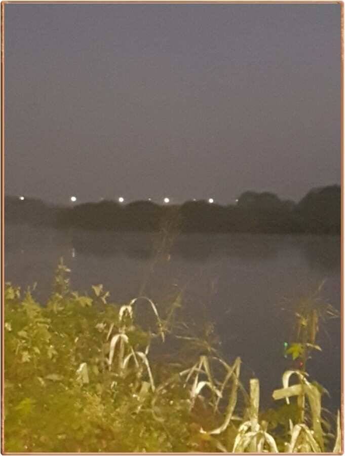 진위천 조황 소식 (조황조행기 - 특파원조황)