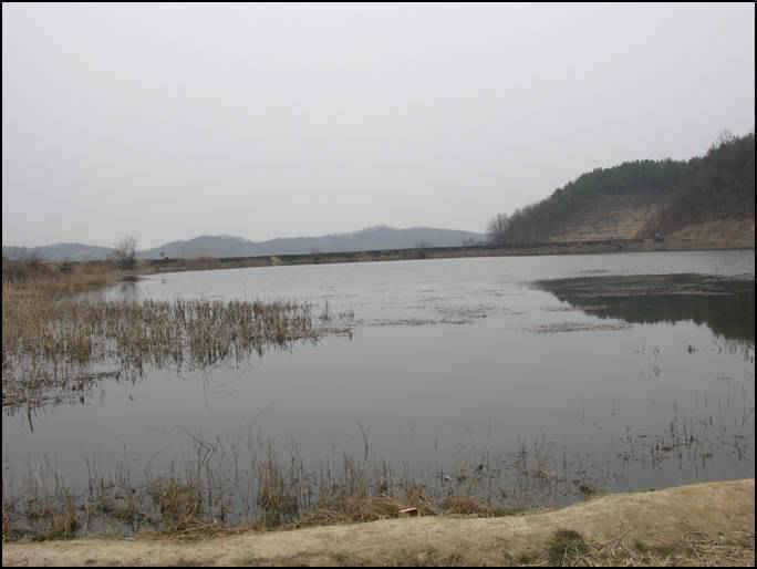 이번주를 기점으로 (조황조행기 - 특파원조황)