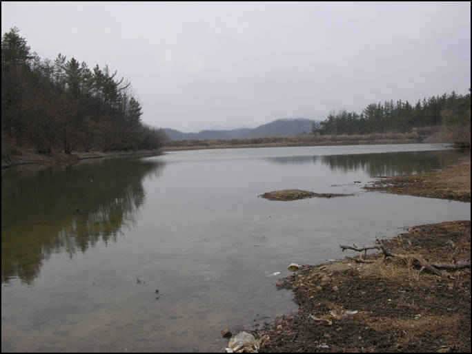 이번주를 기점으로 (조황조행기 - 특파원조황)
