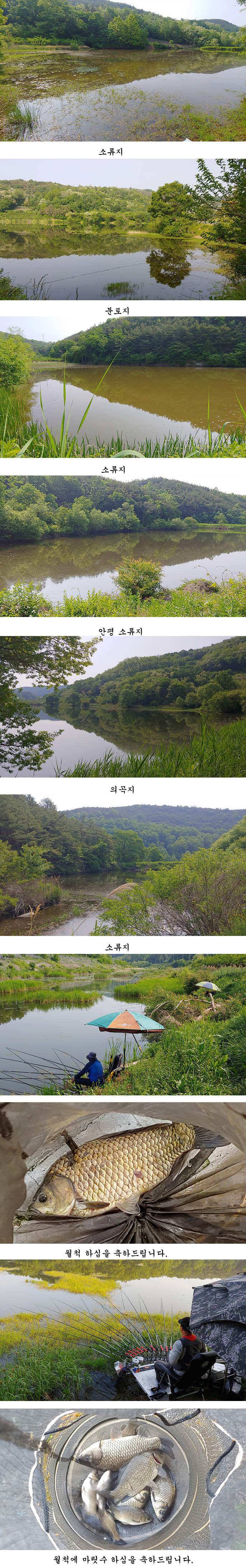 배수걱정없는 의성권북부와동부 (조황조행기 - 특파원조황)