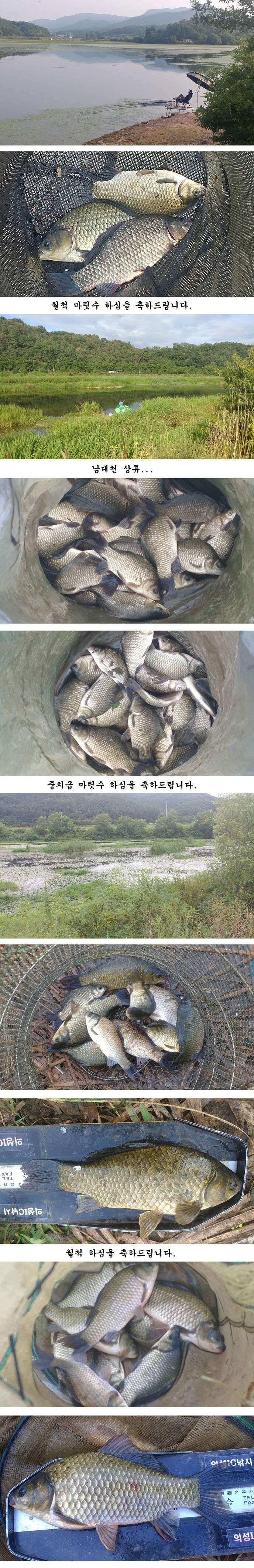 pro_johwang_5dee2_060818_62778.jpg