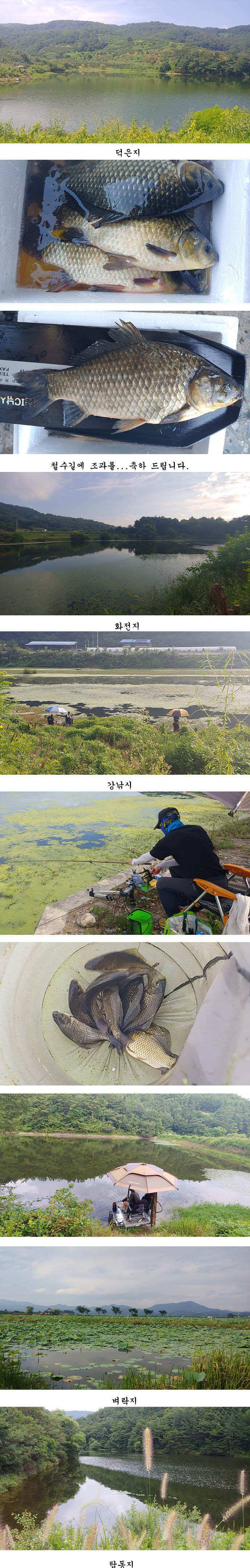경북북부권조황입니다 (조황조행기 - 특파원조황)
