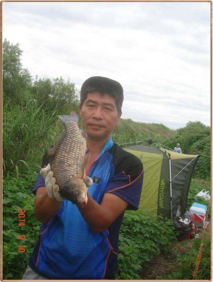 진위천 주말 조황 소식 (조황조행기 - 특파원조황)