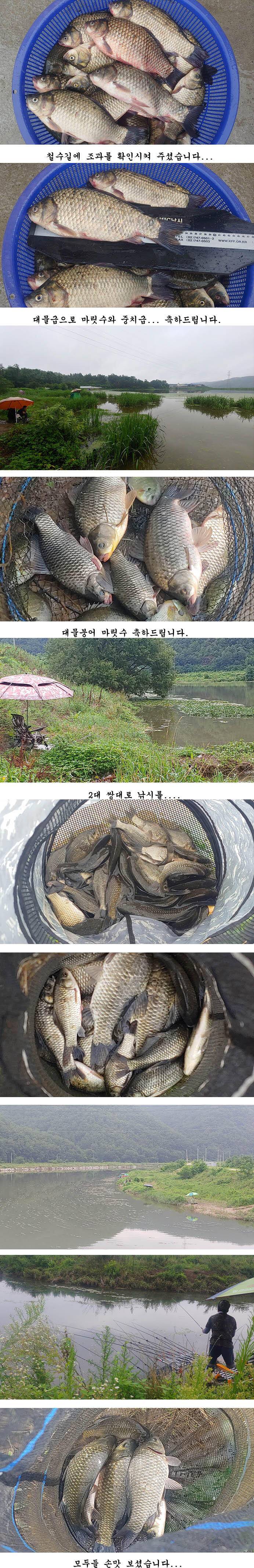 의성권 조황입니다 (조황조행기 - 특파원조황)