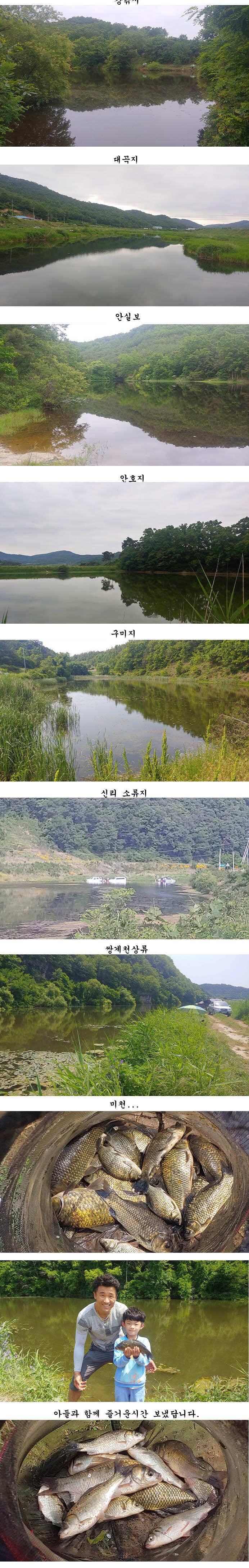 의성권 조황입니다 (조황조행기 - 특파원조황)