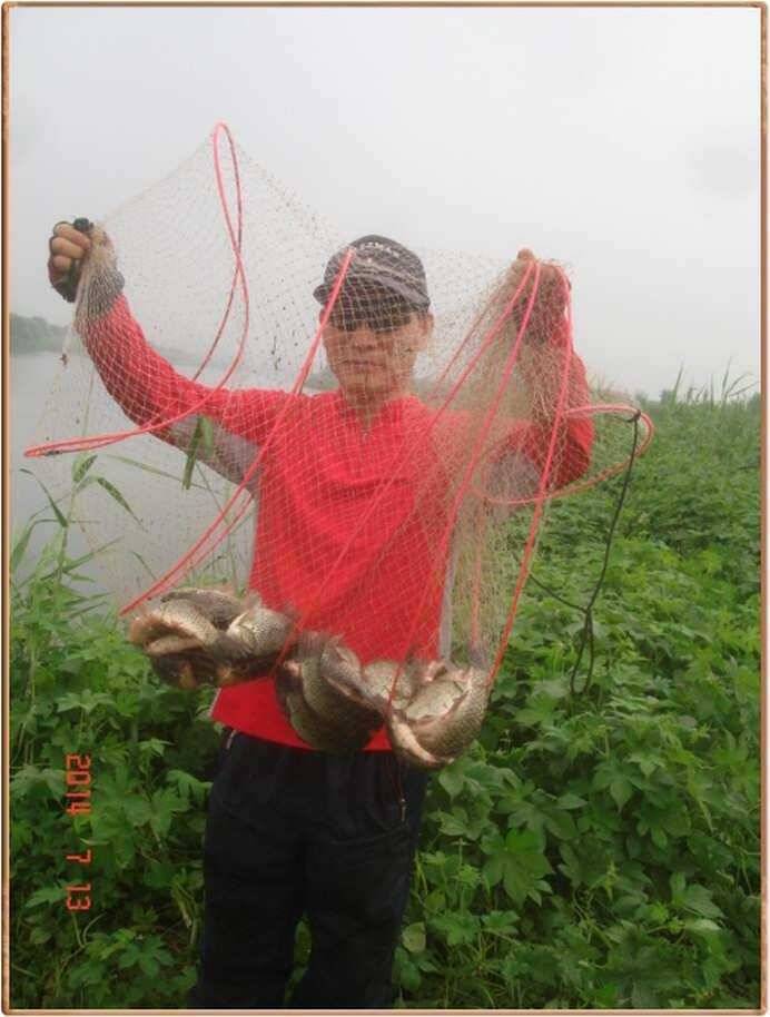 진위천 조황 소식 (조황조행기 - 특파원조황)