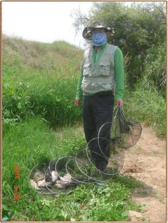 진위천 주말 조황 (조황조행기 - 특파원조황)