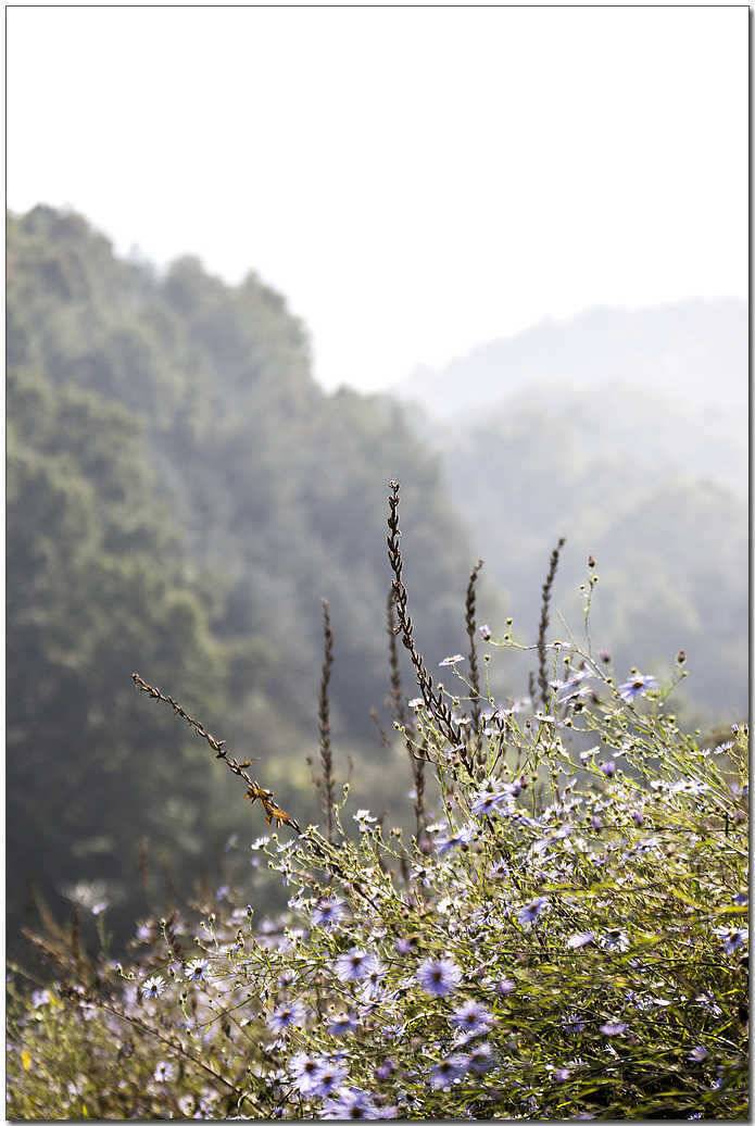 신매 월척소류지 월척 (조황조행기 - 특파원조황)
