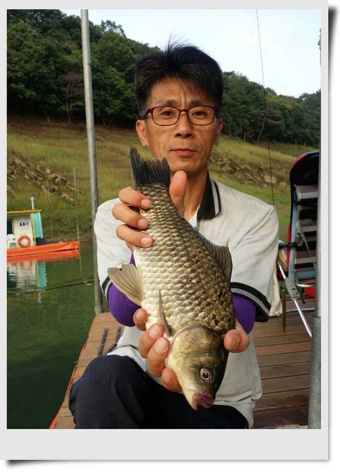 충주호 오름특수를 누려라 (조황조행기 - 특파원조황)