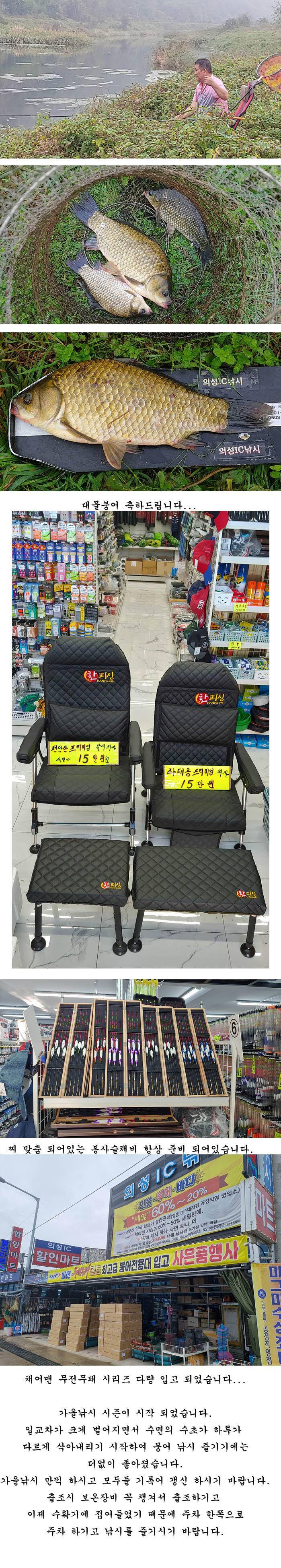 수초가 하루가 다르게 삭아내리는 경북북부권 (조황조행기 - 특파원조황)