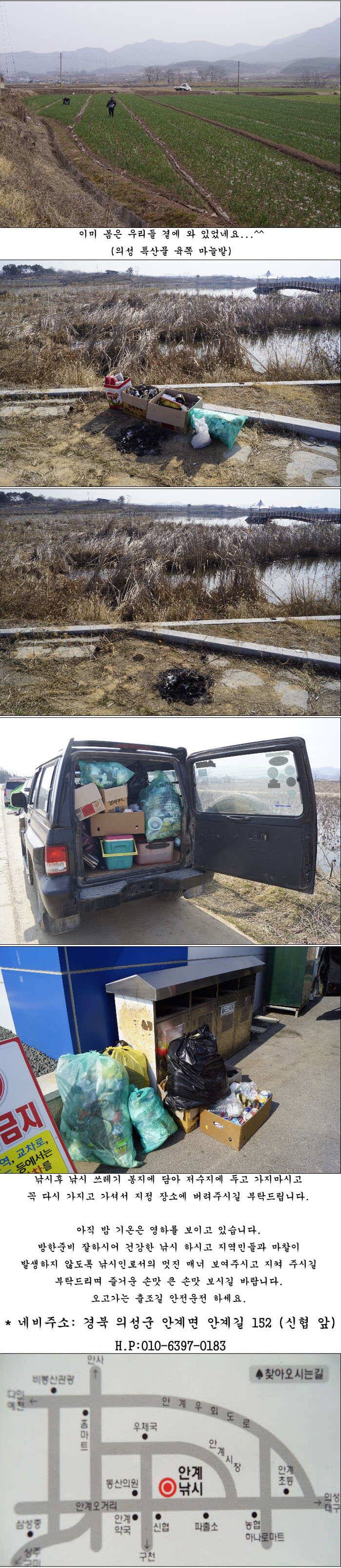 봄을 알리는 봄 붕어 조황소식 (조황조행기 - 특파원조황)