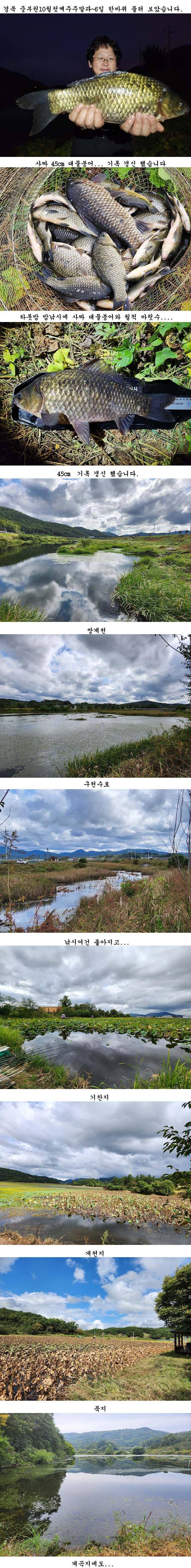 경북북부권 사짜그리고대물들 (조황조행기 - 특파원조황)