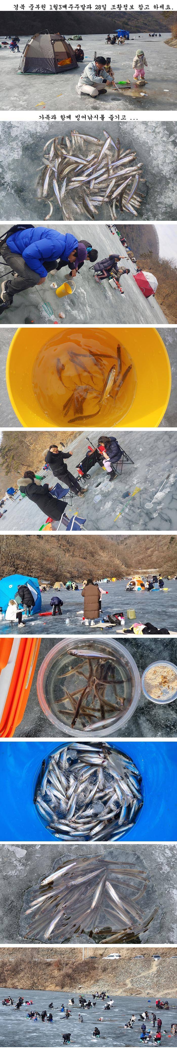 경북빙어얼음낚시 (조황조행기 - 특파원조황)