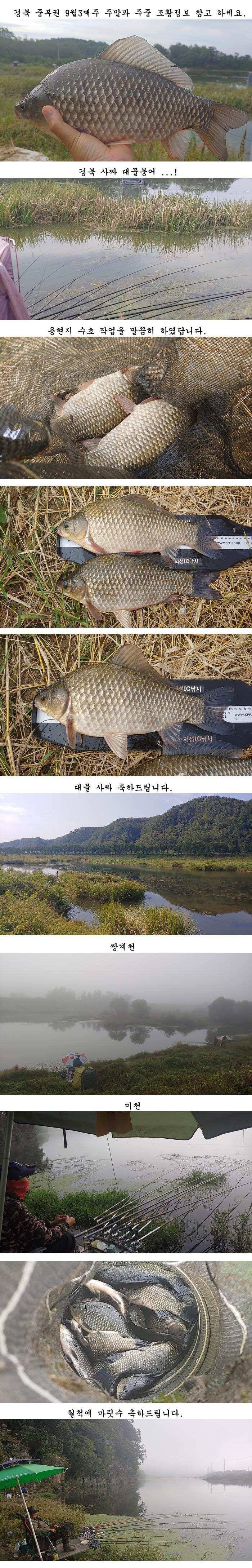 경북북부권 가을대물낚시 시즌 다시 시작 (조황조행기 - 특파원조황)