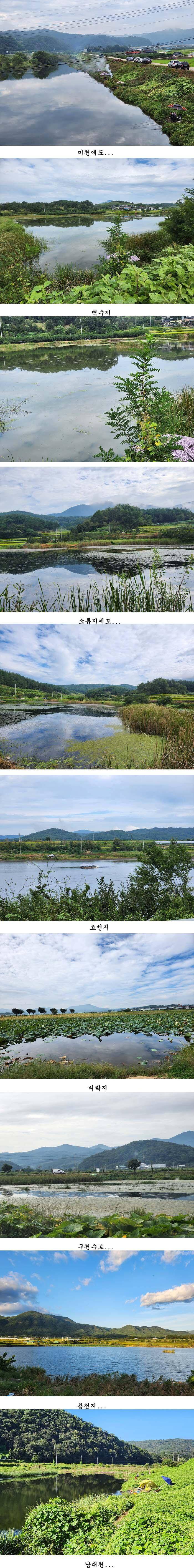 경북북부권 조황입니다 (조황조행기 - 특파원조황)