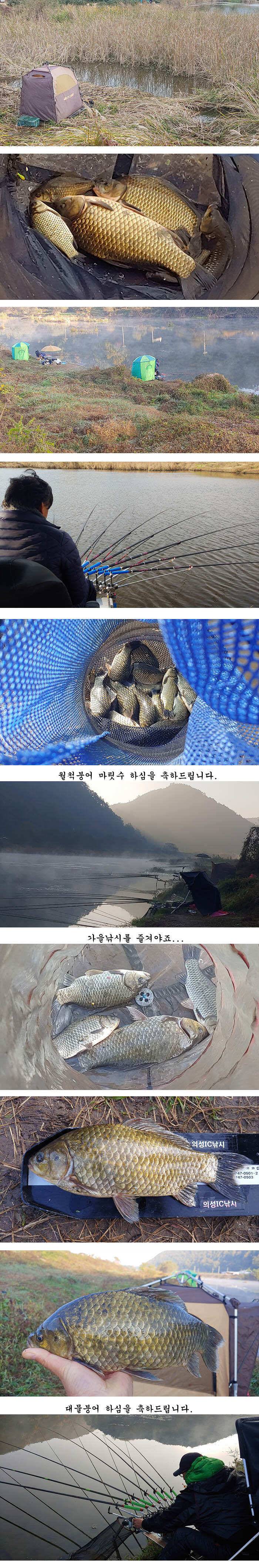 추초가 삭아내린 경북북부권 대물낚시 메카 (조황조행기 - 특파원조황)