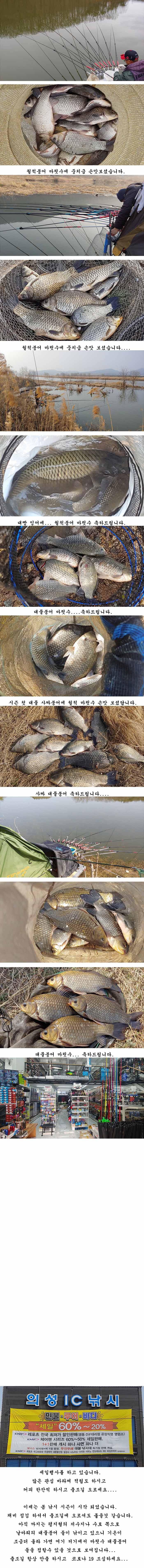 경북북부권 부분적인산란이 시작되고 (조황조행기 - 특파원조황)