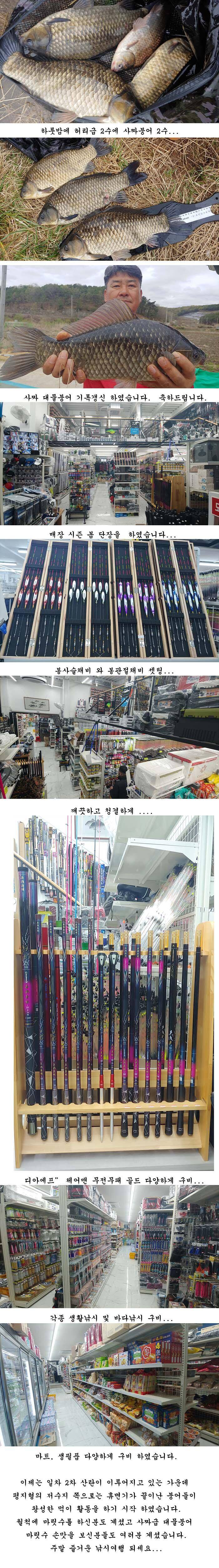 경북북부권 1차2차산란이 이어지고대물사짜 조황도이어지고 (조황조행기 - 특파원조황)