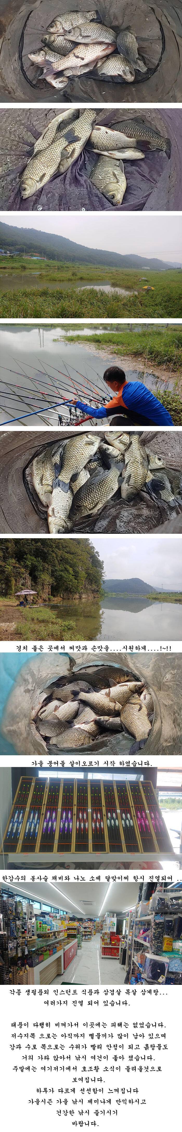 경북의성권 조황입니다 (조황조행기 - 특파원조황)