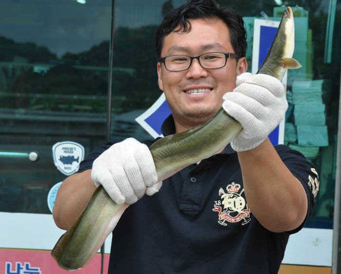 대물장어와 쏘가리 솔낚시터의 월척붕어 (조황조행기 - 특파원조황)