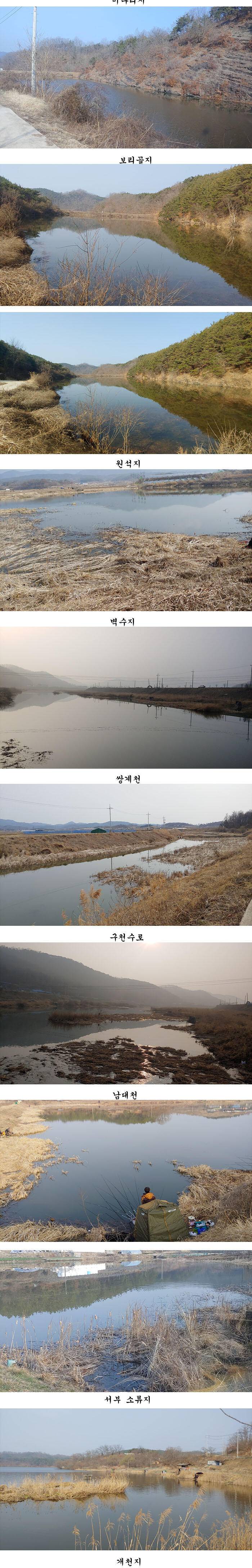 경북북부권 부분적인산란이 시작되고 (조황조행기 - 특파원조황)