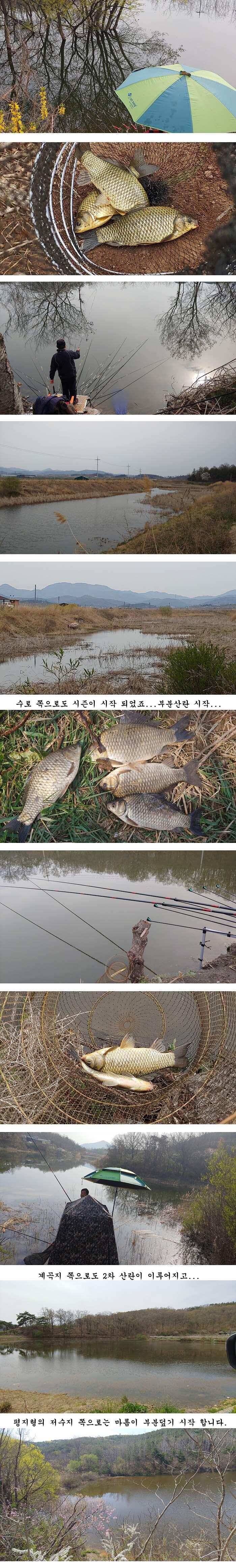 4짜와 대물마릿수들 (조황조행기 - 특파원조황)