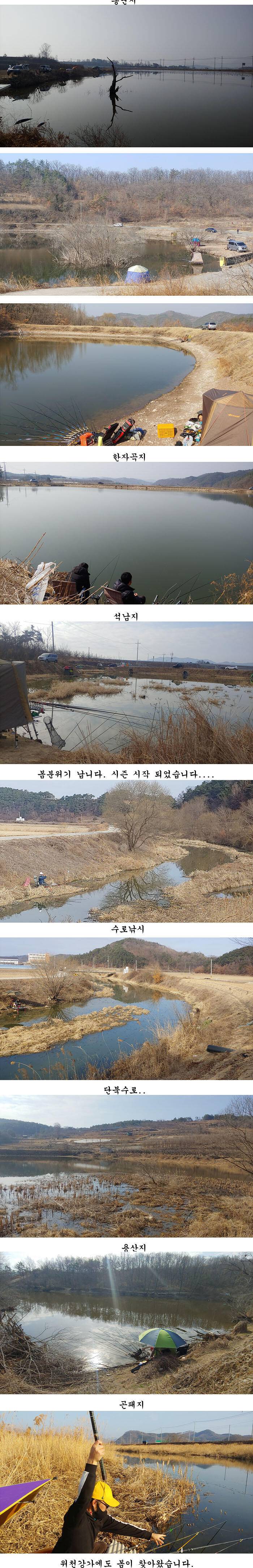 경북북부권 월척마릿수 조황 (조황조행기 - 특파원조황)