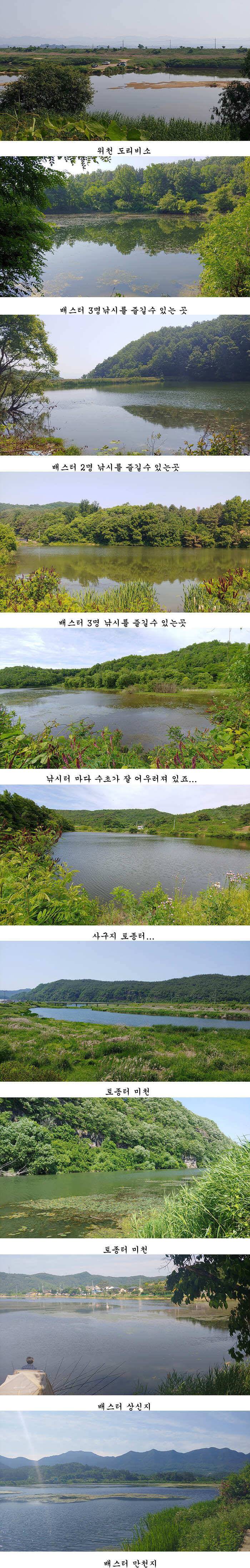 배수걱정없는 의성권 (조황조행기 - 특파원조황)