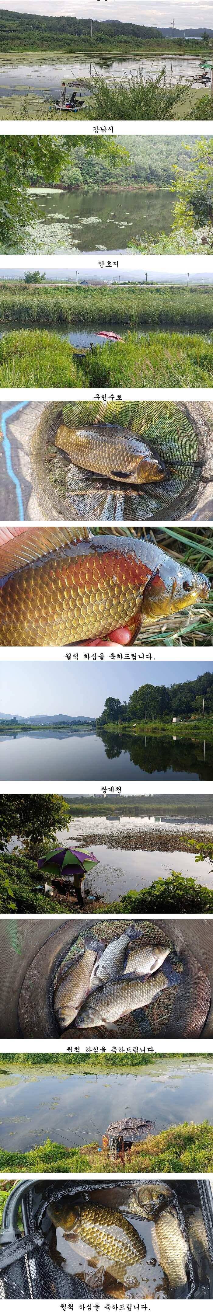 경북북부권조황입니다 (조황조행기 - 특파원조황)