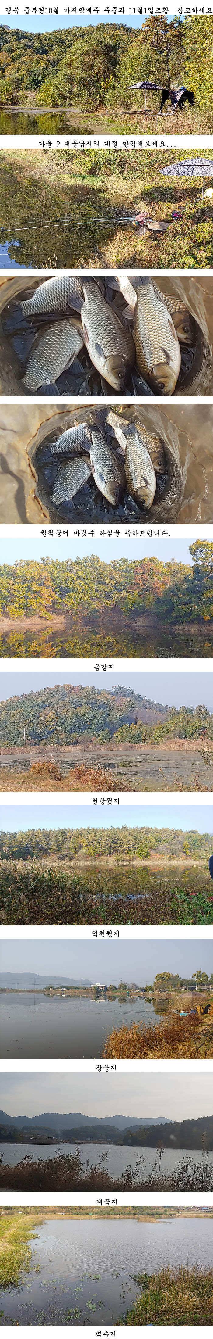 추초가 삭아내린 경북북부권 대물낚시 메카 (조황조행기 - 특파원조황)