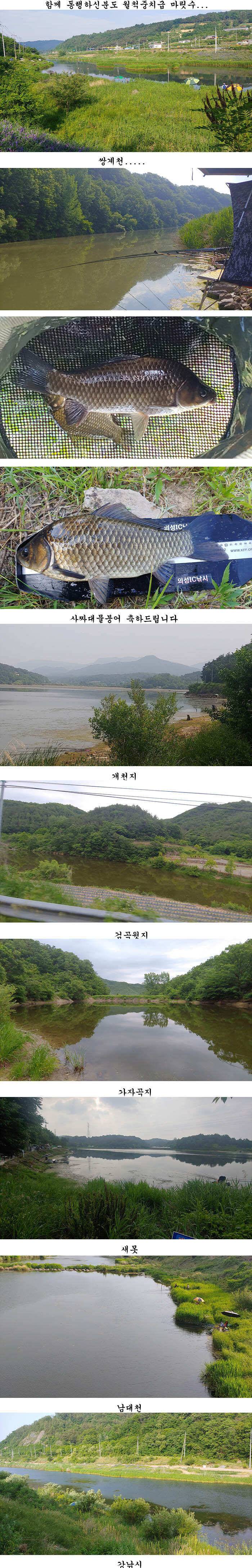 의성권 조황입니다 (조황조행기 - 특파원조황)