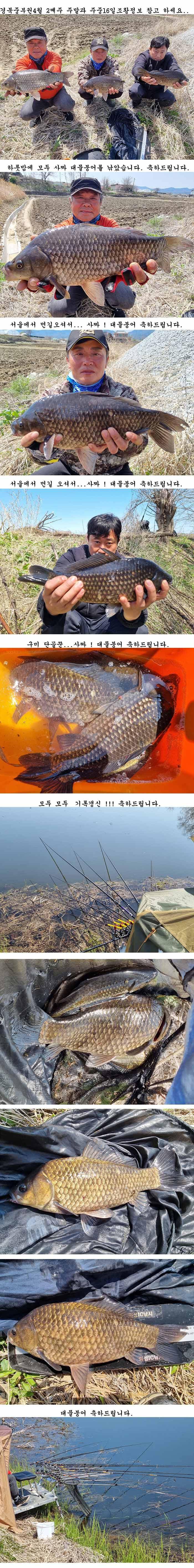 경북북부권 평지형저수지 휴면기 끝이나고 먹이활동시작 (조황조행기 - 특파원조황)