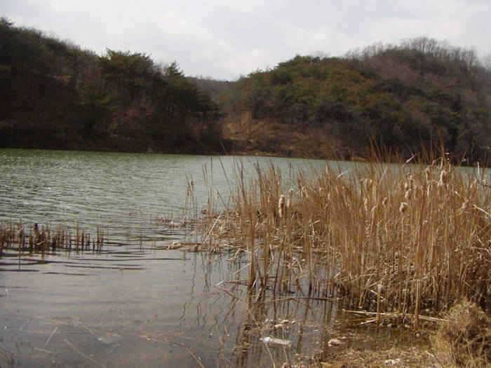 우로지와 주말 낚시터 (조황조행기 - 특파원조황)
