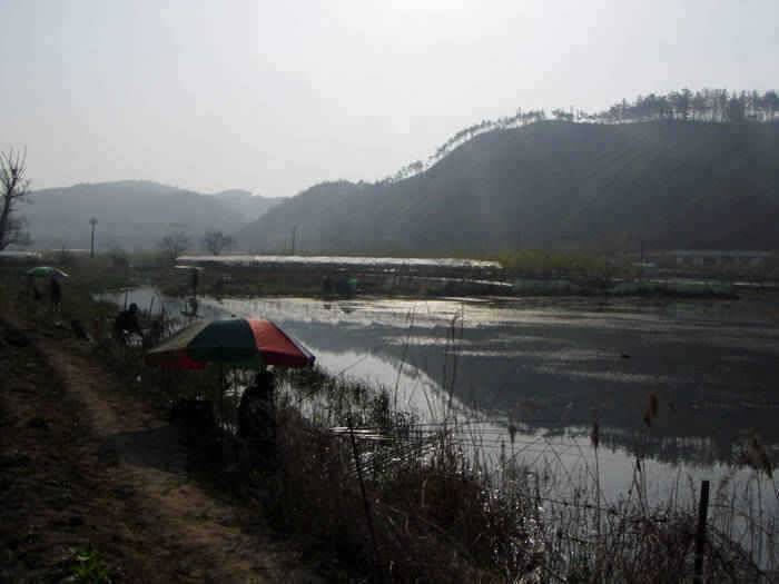 영천권 조황소식 (조황조행기 - 특파원조황)