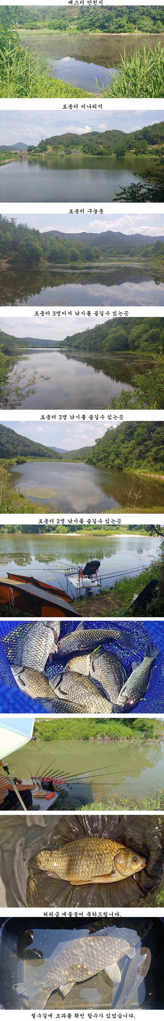 배수걱정없는 의성권 (조황조행기 - 특파원조황)