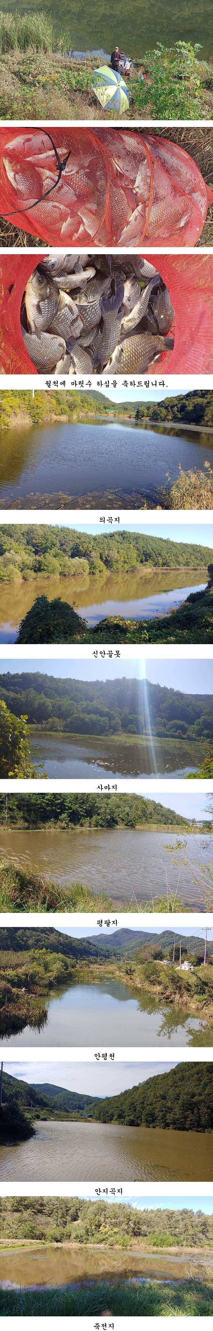 가을 대물낚시 본격적으로 시작이 되었습니다 (조황조행기 - 특파원조황)