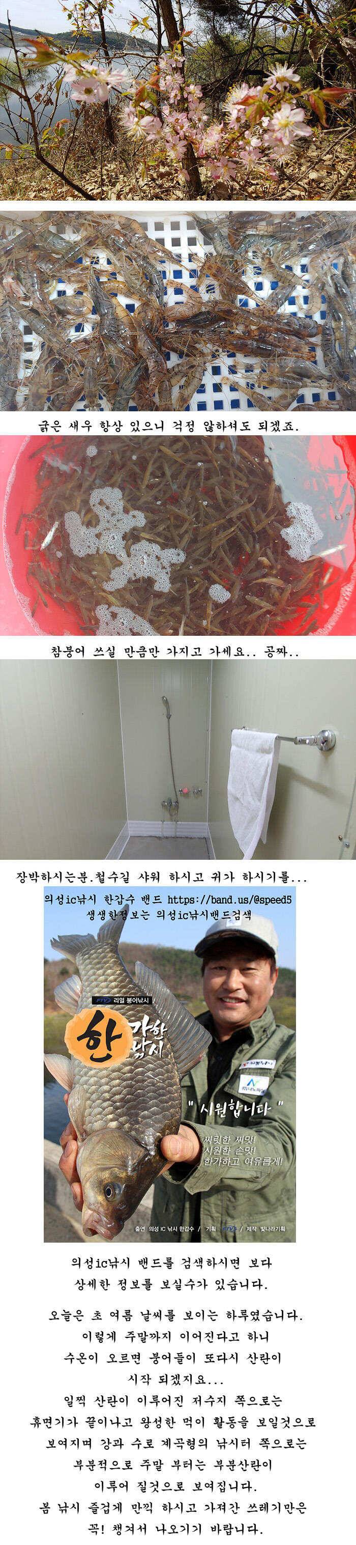 4짜와 대물마릿수들 (조황조행기 - 특파원조황)
