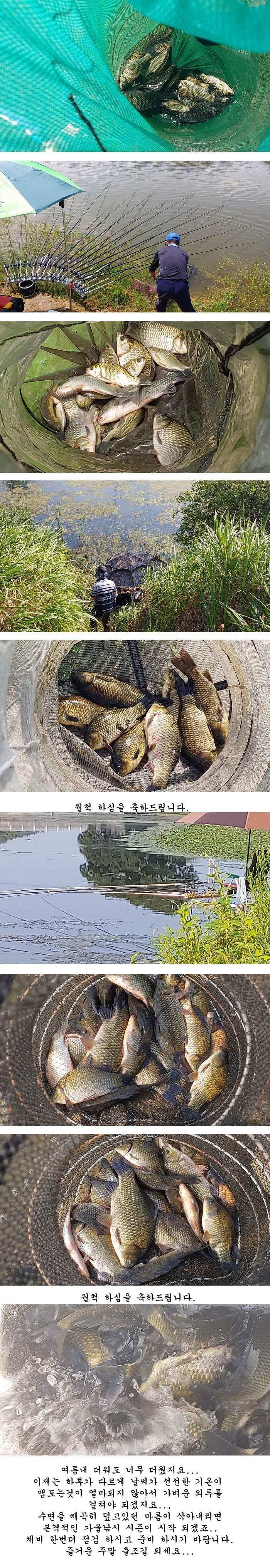 경북북부권조황입니다 (조황조행기 - 특파원조황)
