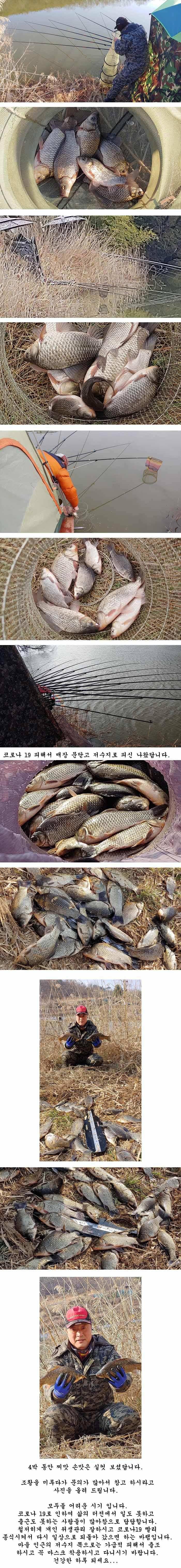 경북의성권 조황입니다 (조황조행기 - 특파원조황)